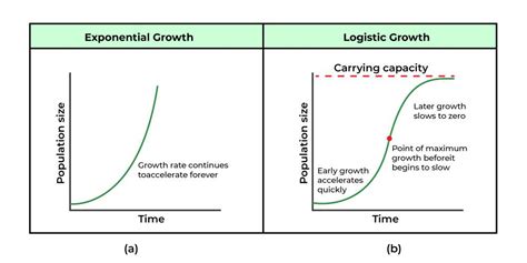 Logistic Population Growth Graph