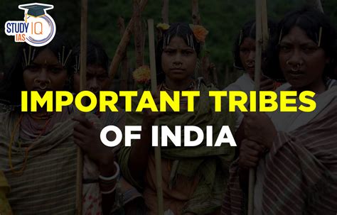 Tribes in India, List, Map, Major Tribes of India State wise List