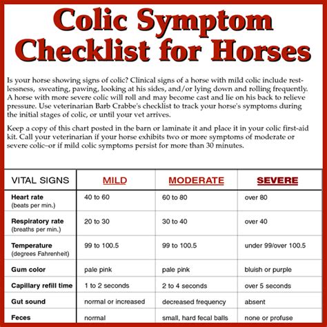 Colic Symptoms Checklist for Horses - KPP in 2024 | Healthy horses ...