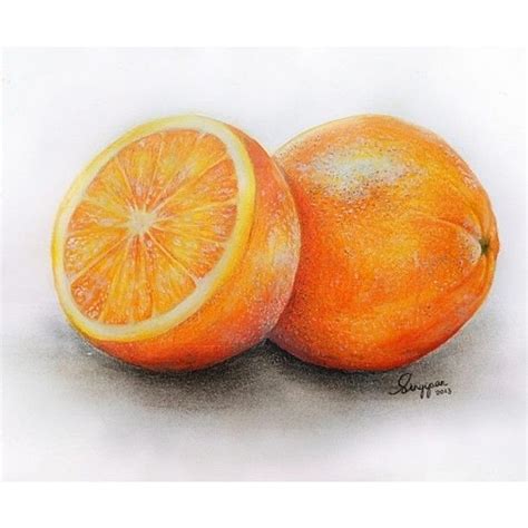 Orange Art | Fruits drawing, Color pencil drawing, Fruit art drawings