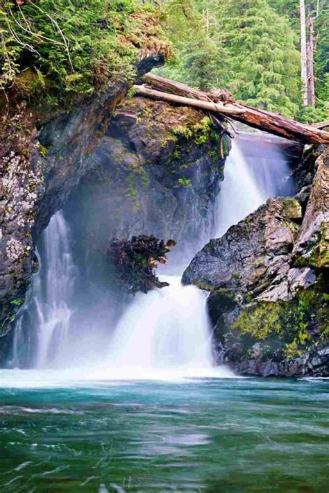 10 Best Waterfalls In Olympic National Park | Forest