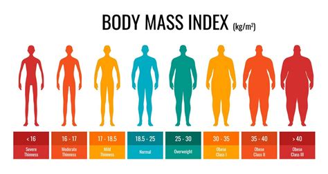 BMI classification chart measurement man set. Male Body Mass Index ...