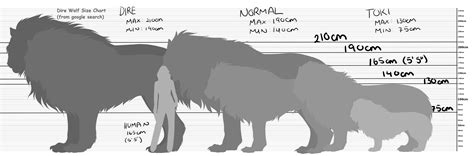 general dire wolf size chart | Dire wolf size, Dire wolf, Wolf art fantasy