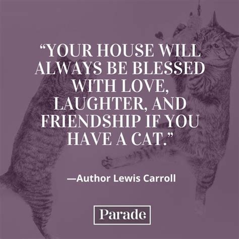 60 Cat Quotes — Best Quotes About Cats - Parade Pets