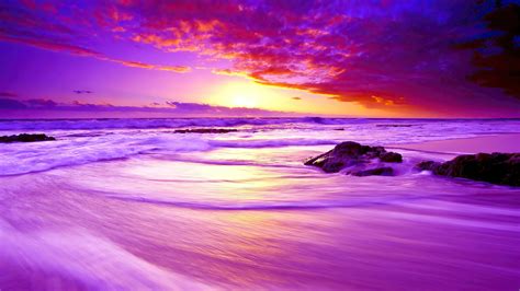 Purple Beach Sunset 4K HD Wallpapers | HD Wallpapers | ID #31905