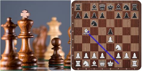 12 Best Chess Openings That Every Beginner Should Know - TrendRadars