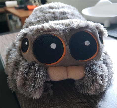 My Lucas the Spider plushie came.https://ift.tt/2SHpCRZ | Lucas the ...