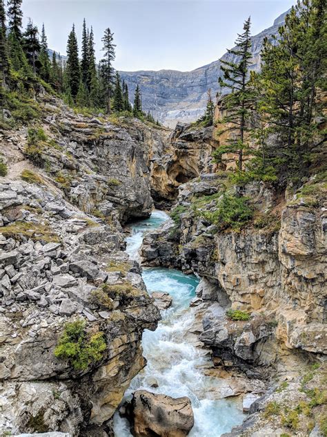 View Banff National Park Hiking Trails Pics - Anyuta