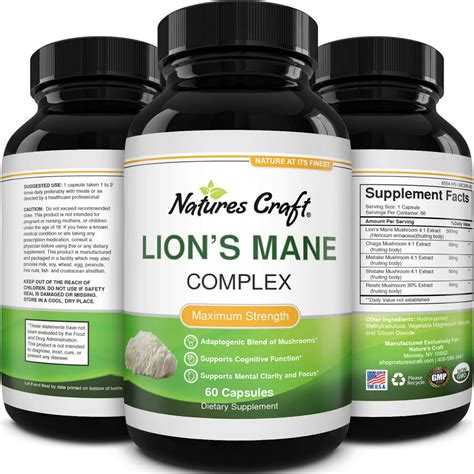 Lion's Mane Mushroom Memory Supplement Brain Support Mood Boost Chaga ...