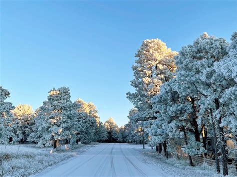 A Few of My Favorite Things: It's Still Cold Outside - Chasing Blue Skies