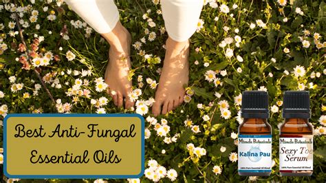 Best Antifungal Essential Oils | Miracle Botanicals Blog