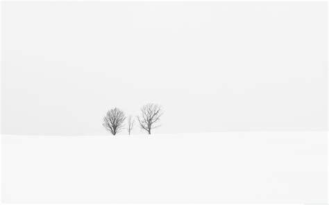 White Minimalist Wallpapers - Top Free White Minimalist Backgrounds ...