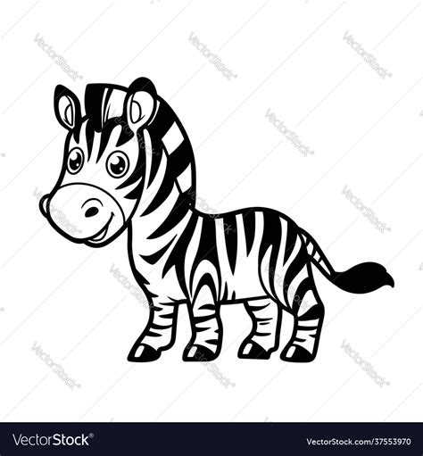 Cute cartoon zebra outline drawing for coloring Vector Image