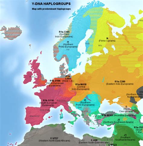 Nice Y Haplogroup Map of Eurasia for all our Groups | Wheaton Wood