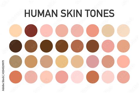 Human skin tone color palette set isolated on transparent background ...