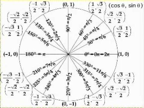 Triangulo De Circulo Unitario