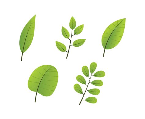 Green Leaves Clipart Set Vector Art & Graphics | freevector.com