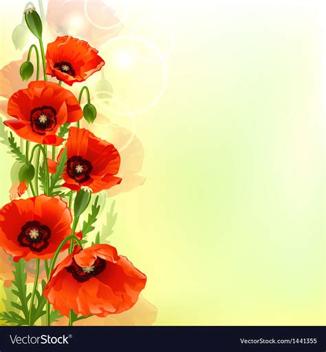 Poppy background Royalty Free Vector Image - VectorStock