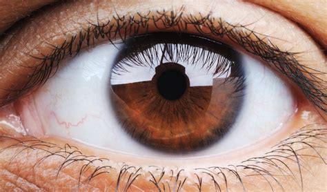 What Eye Color Says About Your Health | The Healthy @Reader's Digest