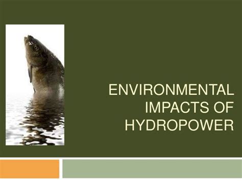 Environmental impacts of hydroelectric power