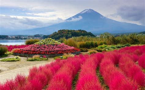 Cycling the Fuji Five Lakes in Japan - GaijinPot