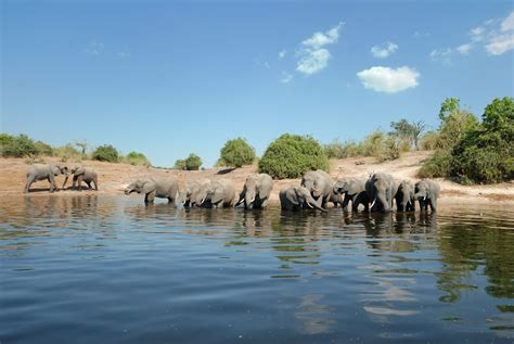 Top 10 Tourist Attractions In Botswana - Secret Africa