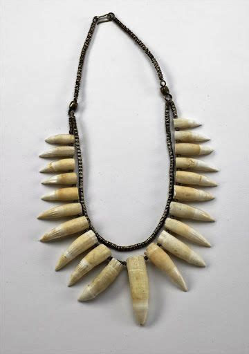 Crocodile teeth necklace - Alan Donovan - Google Arts & Culture | Tooth ...