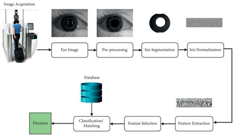 Iris Recognition: Techniques, Stages and Databases — Antispoofing Wiki