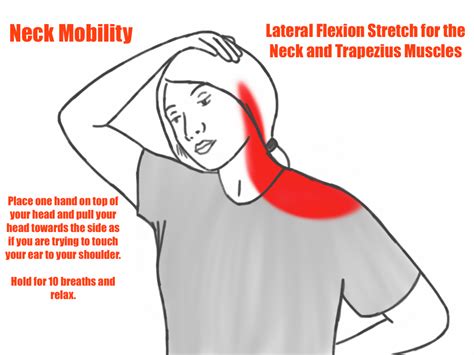 Neck Mobility - Lateral Flexion Stretch for the Neck and Trapezius ...