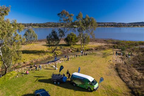 Lake Albert gets planting Trees for Fish | OzFish Unlimited