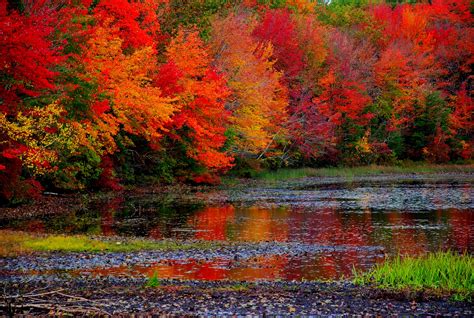 It's a GORGEOUS day! GFT's Top 10 Spots To View Fall Foliage In NJ ...