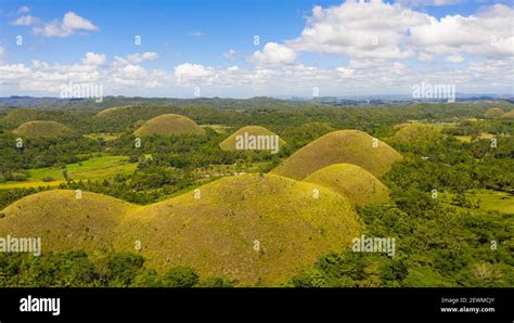 Aerial view of Chocolate hills in Bohol island,Philippines. Hills ...