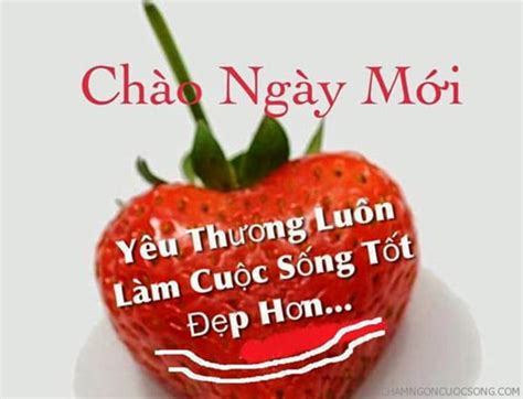 Hình Ảnh Chào Buổi Sáng Đẹp Nhất ️ Hình Chào Ngày Mới