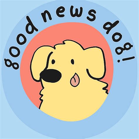 Good News Dog | My OBT