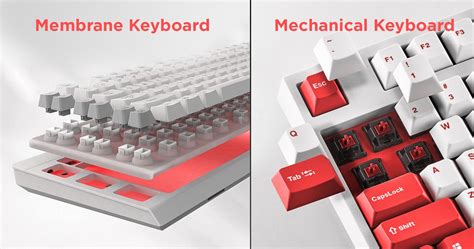 Mechanical vs Membrane Keyboards [A Clear Winner?]