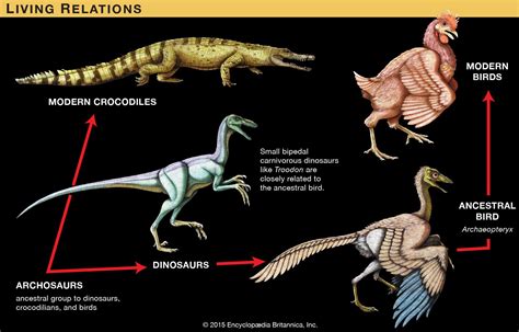 How Many Years Since The Dinosaurs Went Extinct: Unraveling Earths ...