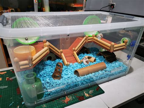 Pin by Laurie Lafranchise on Hamster house ideas | Hamster cages ...