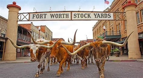 Fort Worth Stock Show and Rodeo FWSSR 2019 - Cowboy Lifestyle Network