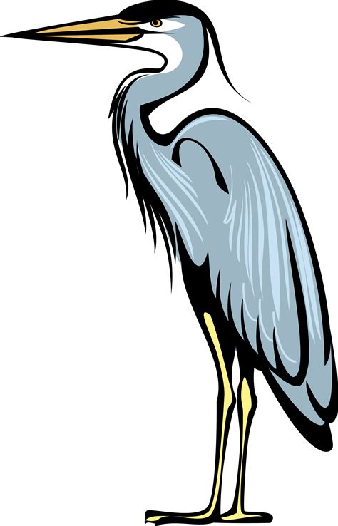 Great blue heron Bird Crane Heraldry - coat png download - 2999*4671 ...