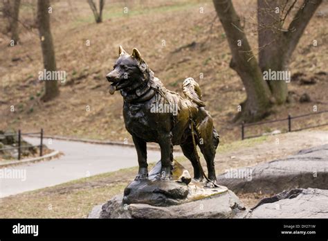 Bronze statue of the sled dog BALTO in New York City's Central Park ...