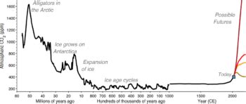 Ancient Deepsea Shells Reveal 66 Million Years Of Carbon Dioxide Levels ...