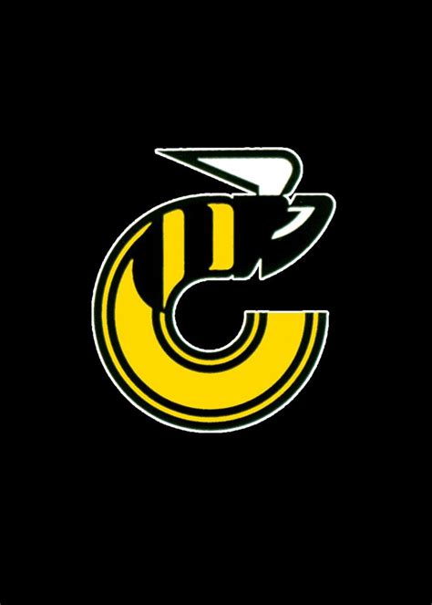 Cincinnati Stingers - WHA | Hockey logos, Sports logo, Sport team logos