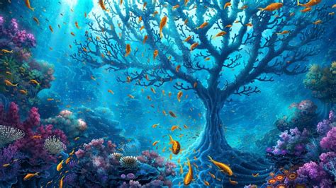 2560x1440 Underwater World 1440P Resolution HD 4k Wallpapers, Images ...