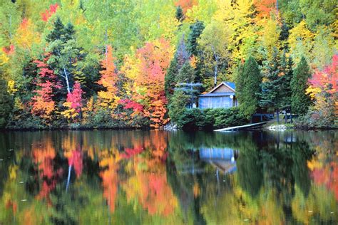 Peak fall foliage season arrives in northern Maine | Newsradio WGAN