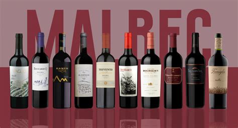 $15 bottles that taste like $50: 2019 Argentine Malbecs to buy now ...