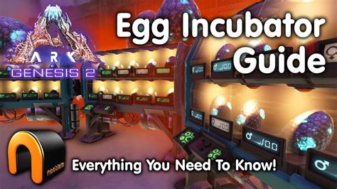 18 how to use egg incubator ark Advanced Guide (12/2023)