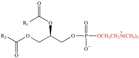 Illustrated Glossary of Organic Chemistry - Choline