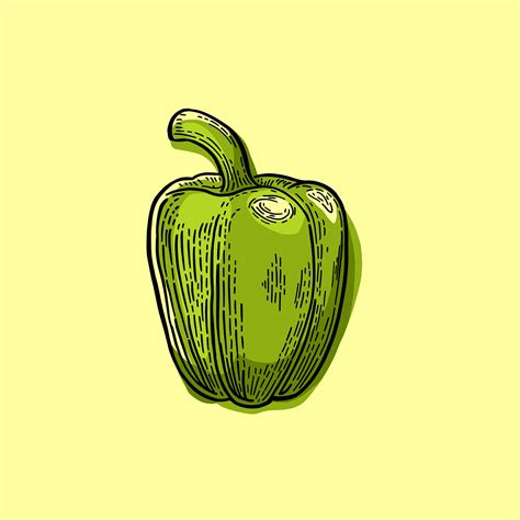 Healthy Food Illustration Series on Behance