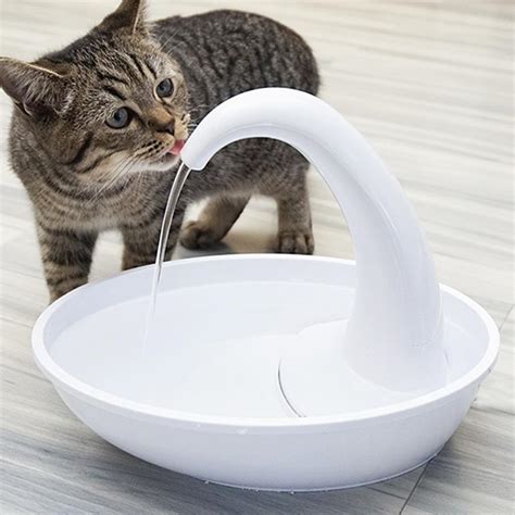 Fontaines à eau pour chat : bonus santé et bien-être - Occi'Cat ...