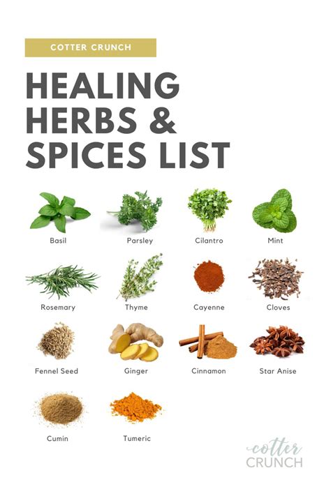 Healing Herbs and Spices List + Guide - Cotter Crunch